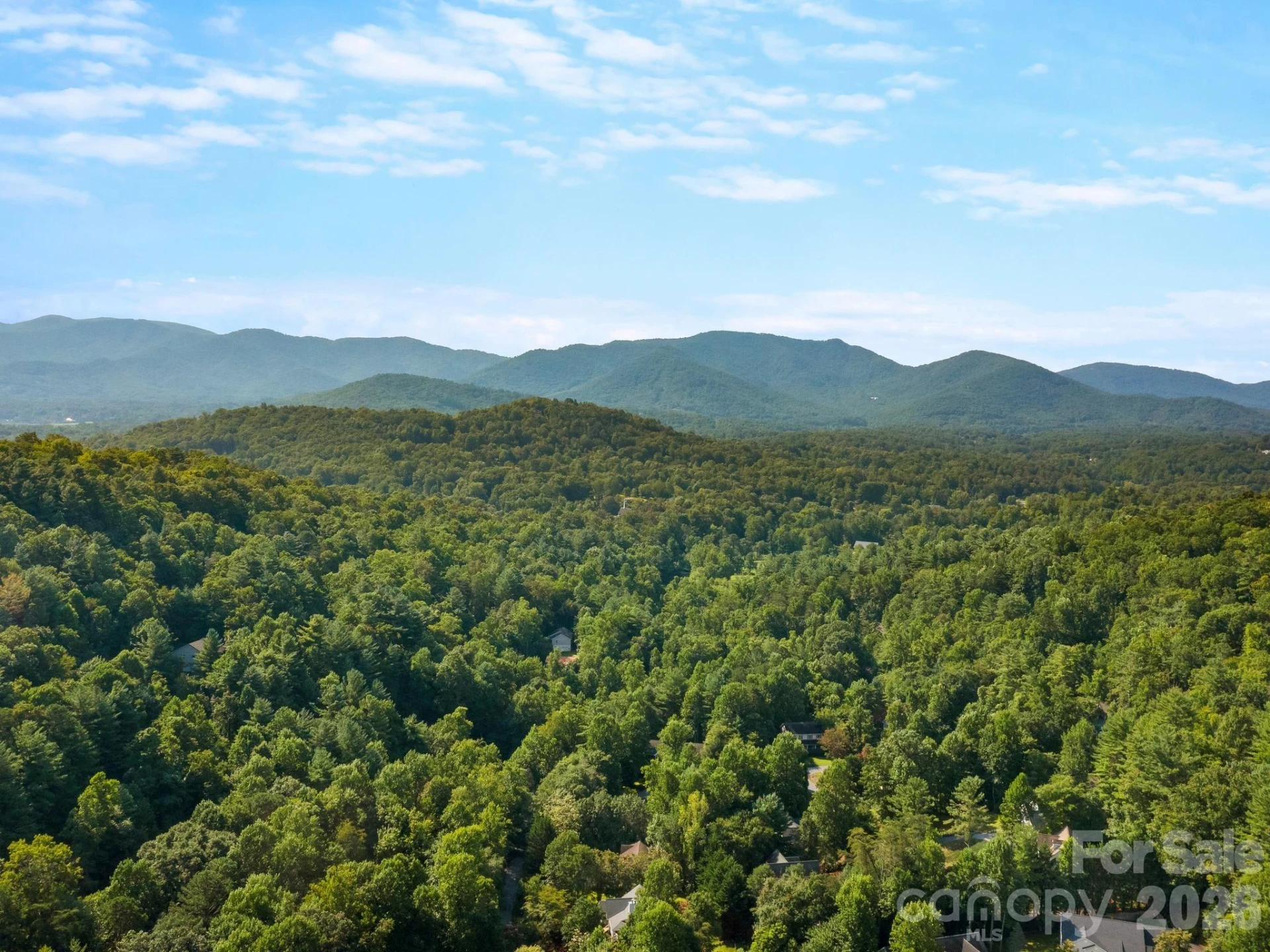 306 Golden Hawk Trail - Photo 39