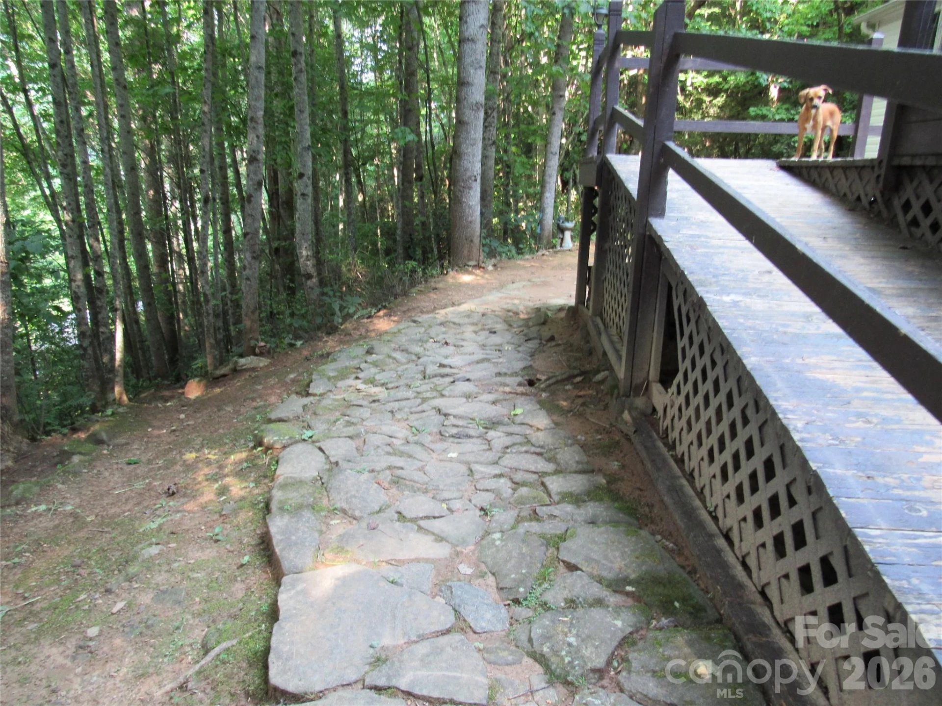 261 Warren Creek Road - Photo 17