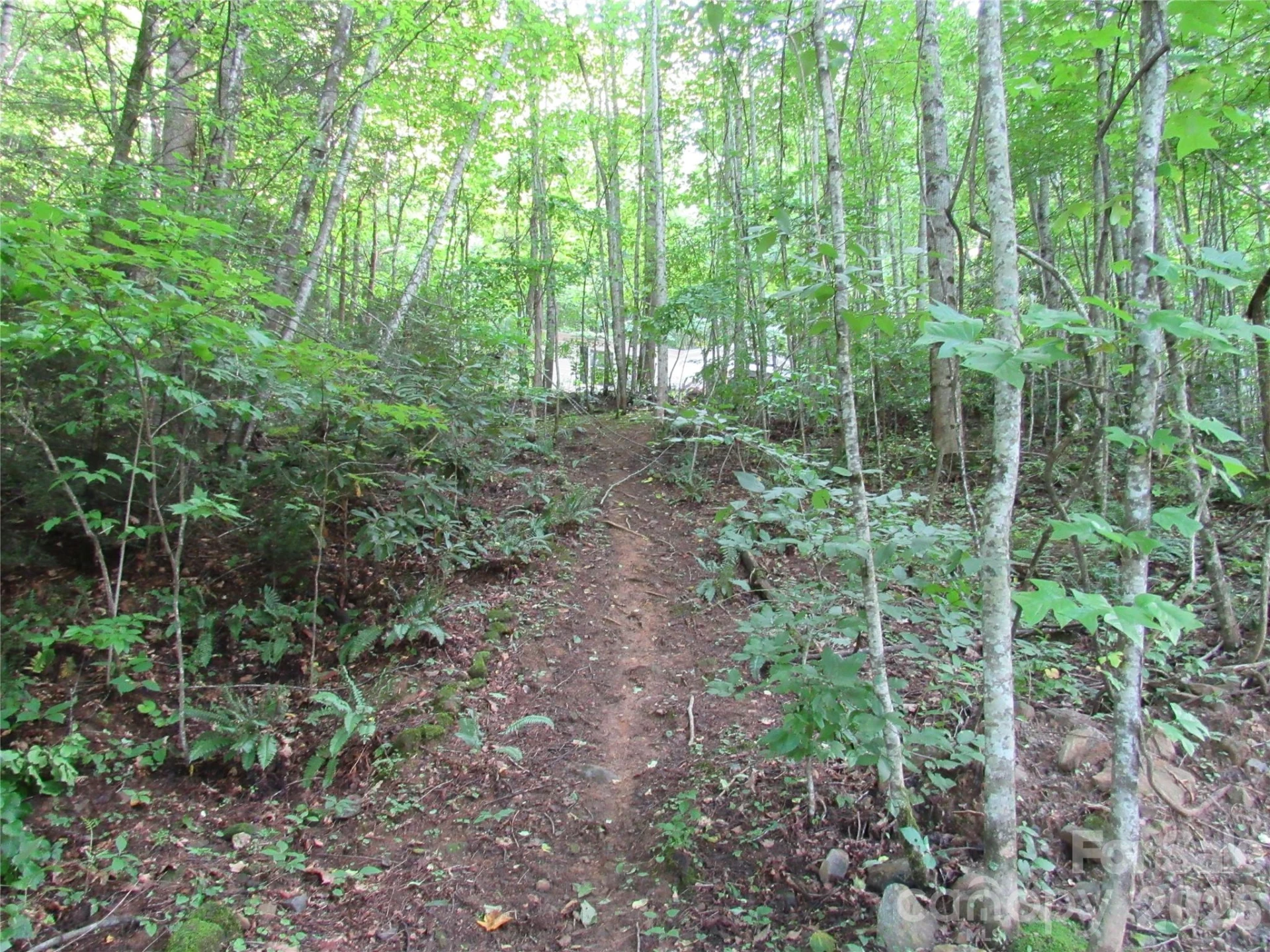 261 Warren Creek Road - Photo 27