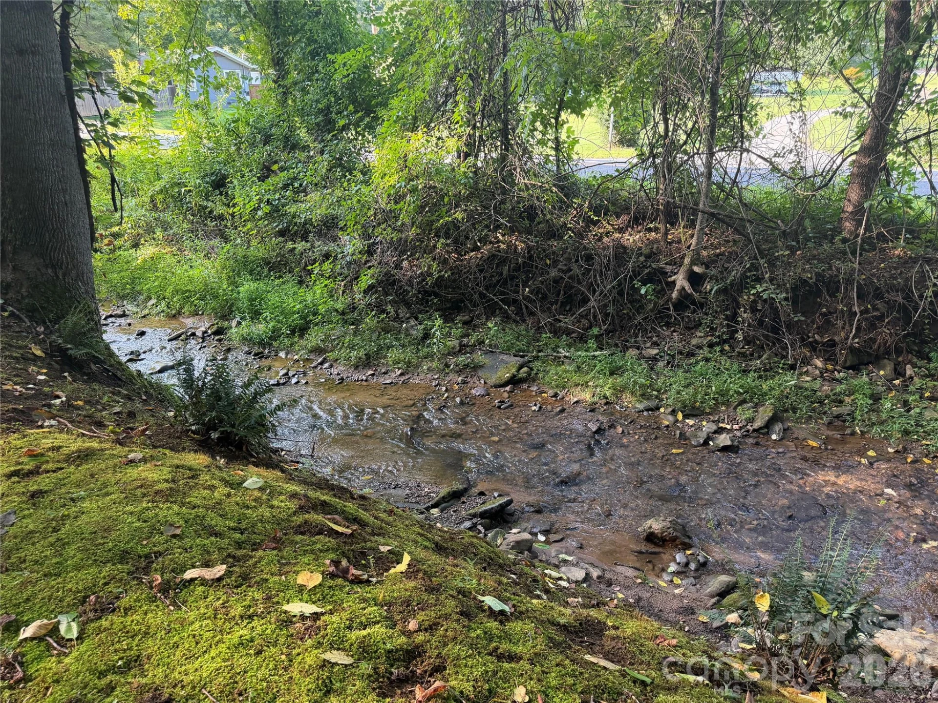 261 Warren Creek Road - Photo 30
