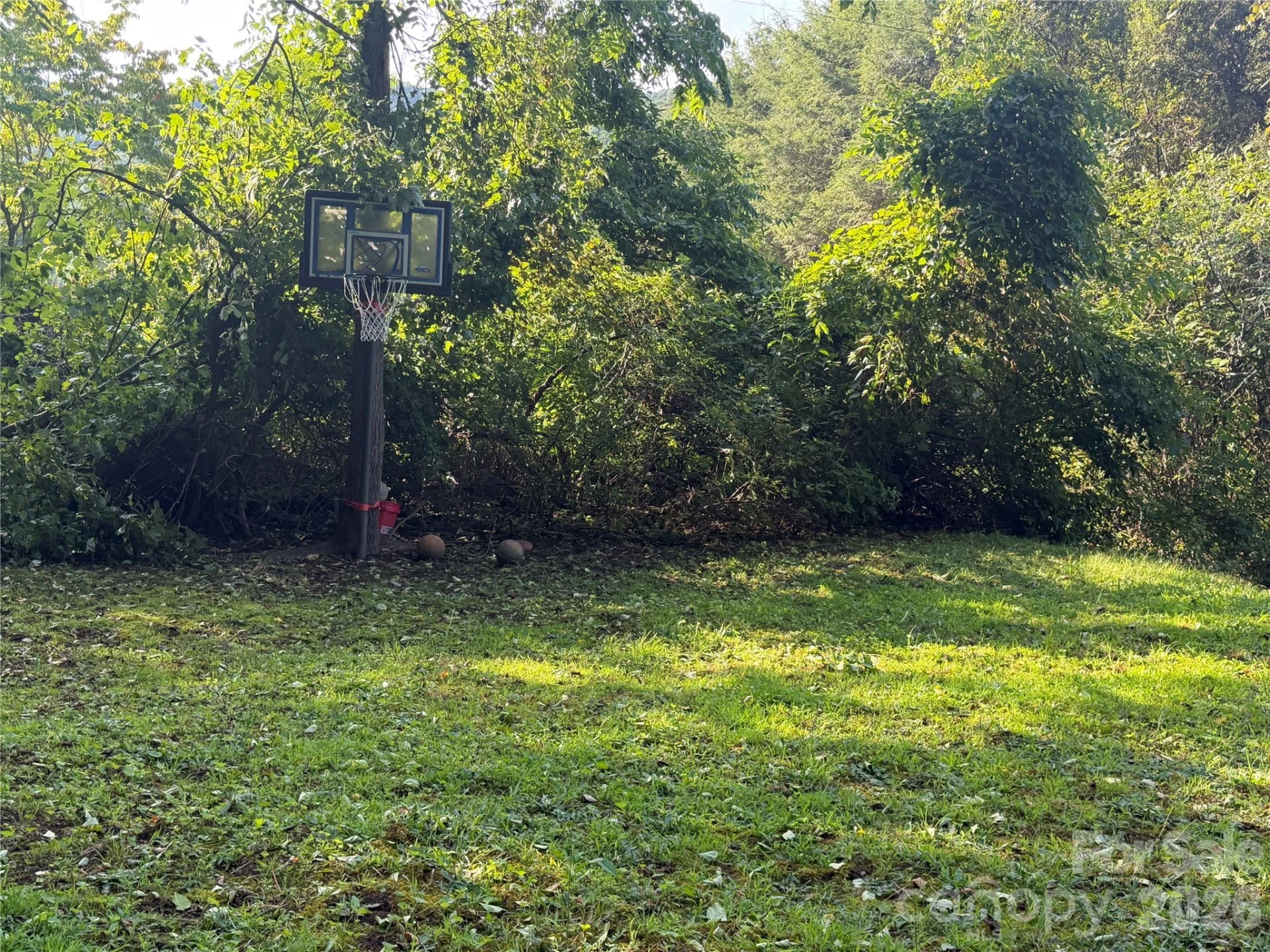 261 Warren Creek Road - Photo 31