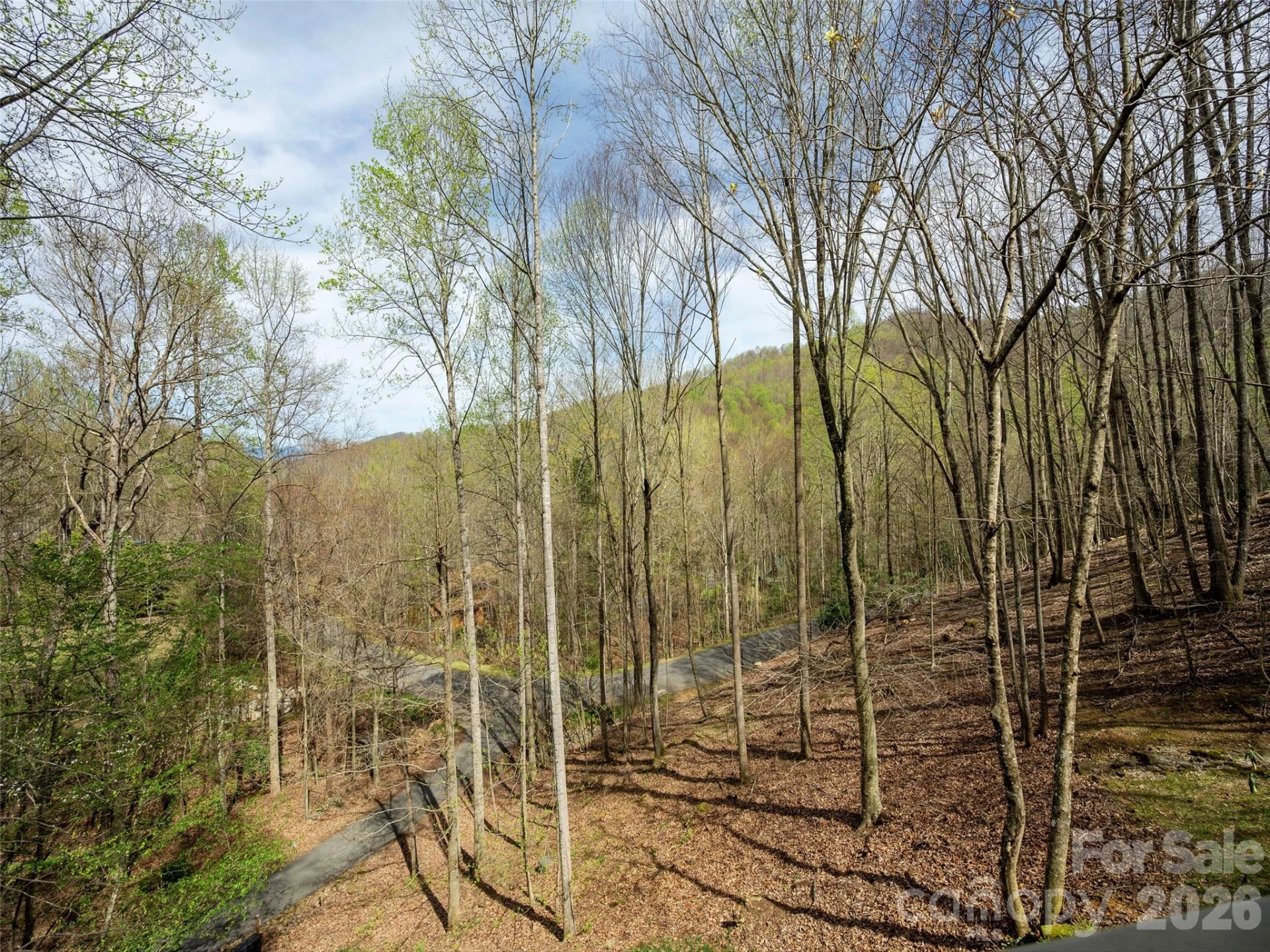 417 Blue Mist Way - Photo 7