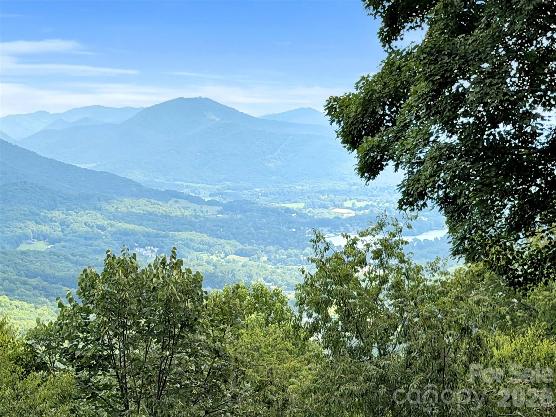 1551 Apple Creek Road - Photo 4