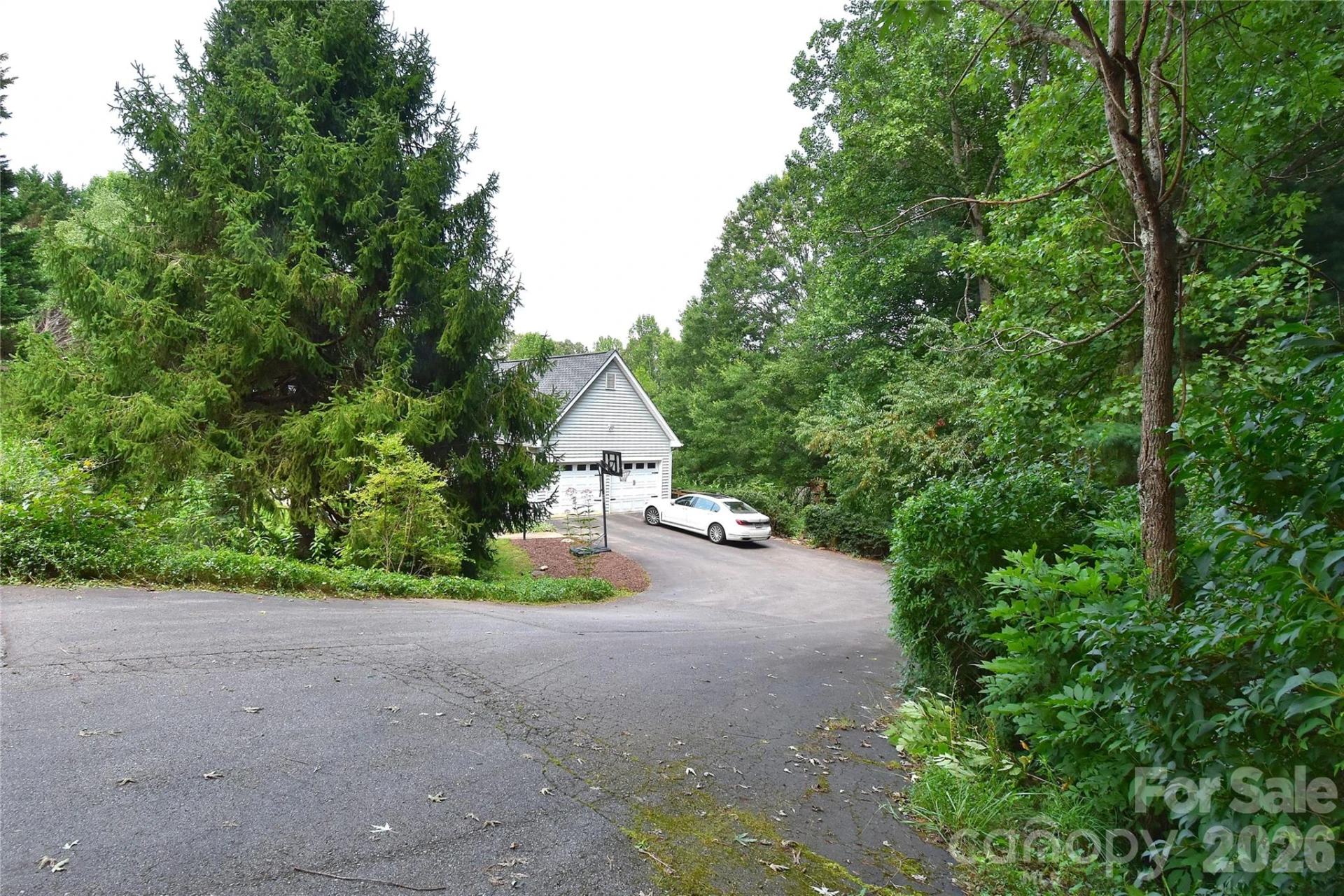 36 Cardinal Lane - Photo 37