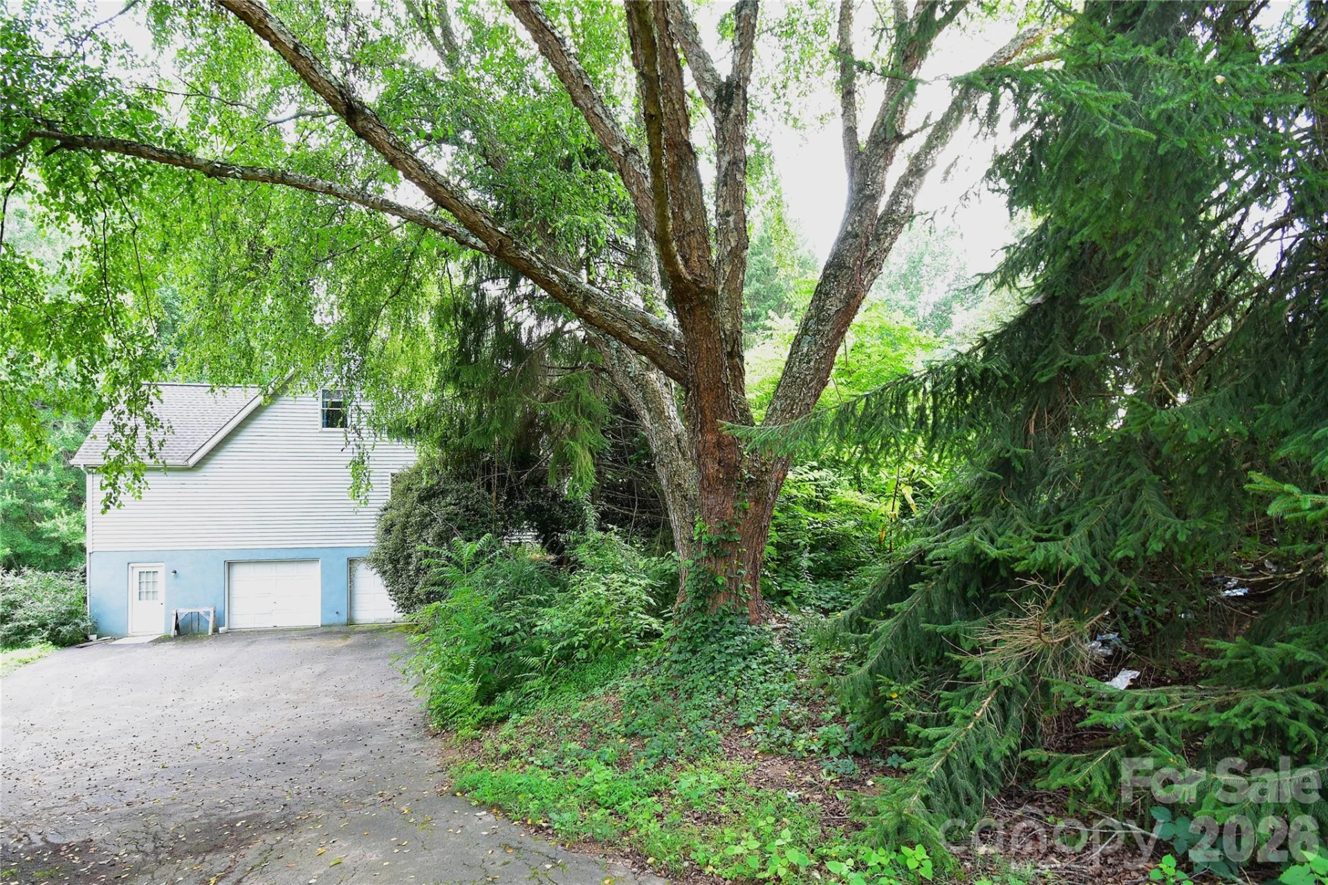 36 Cardinal Lane - Photo 43