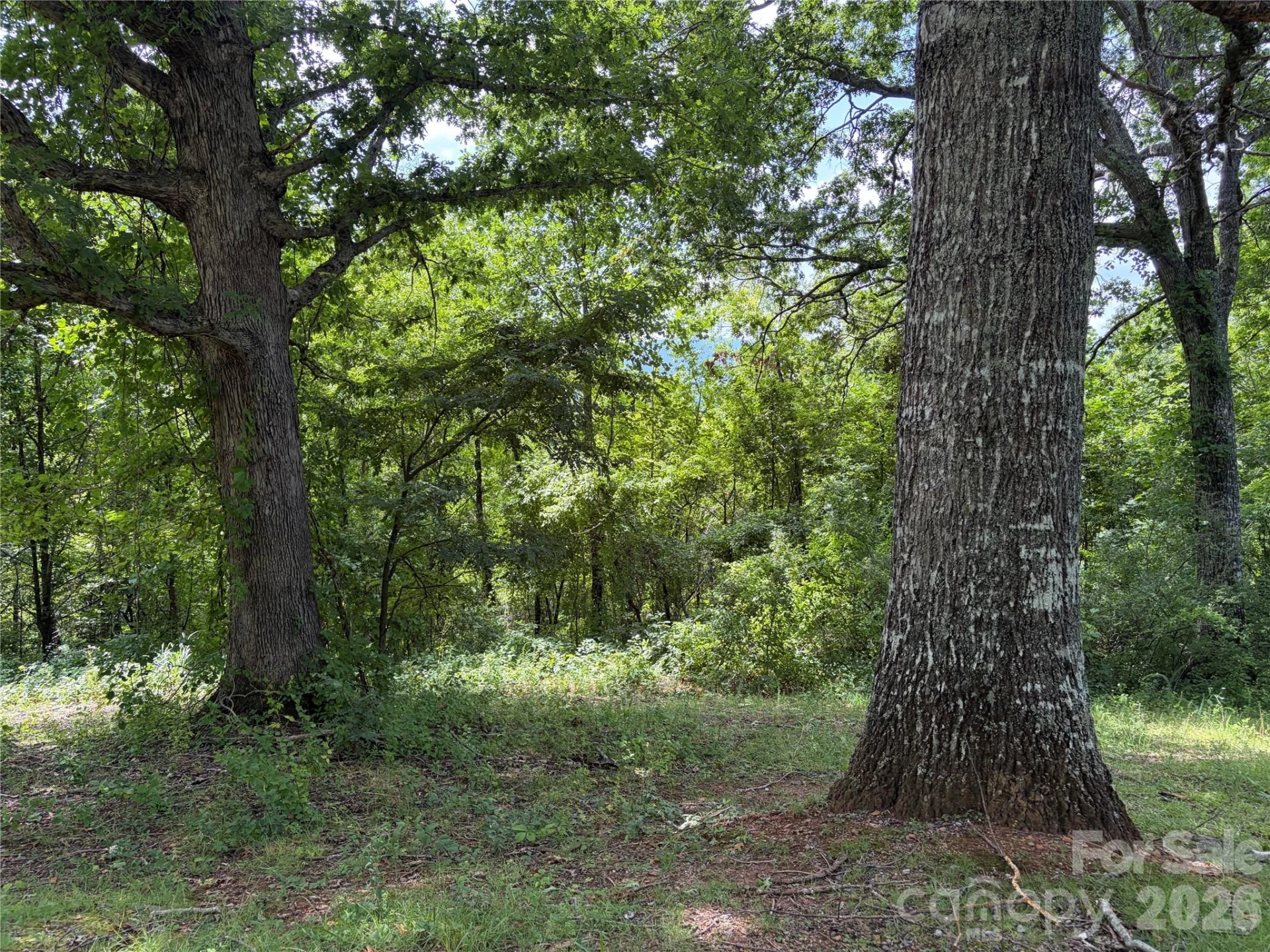 61 Sugar Maple Drive - Photo 2