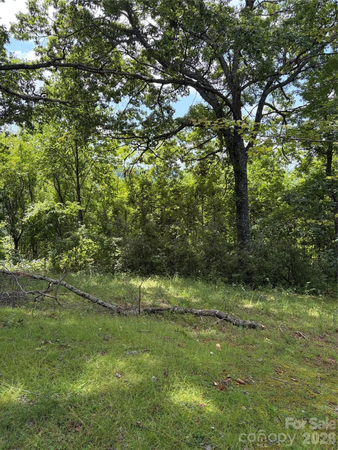 61 Sugar Maple Drive - Photo 4