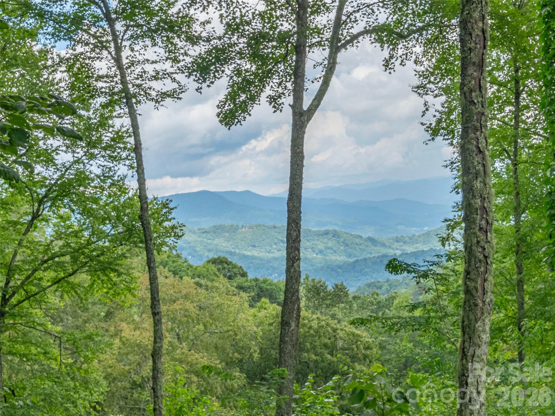 332 Gadohi Trail - Photo 3