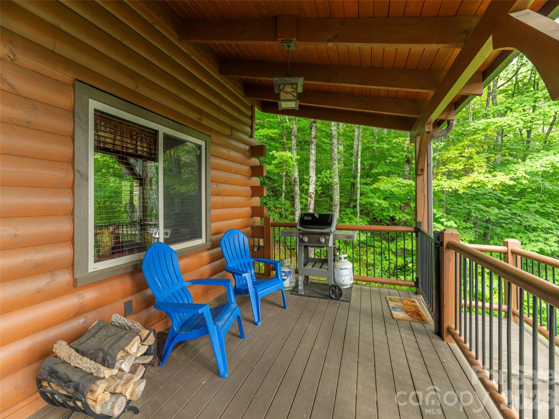 332 Gadohi Trail - Photo 29