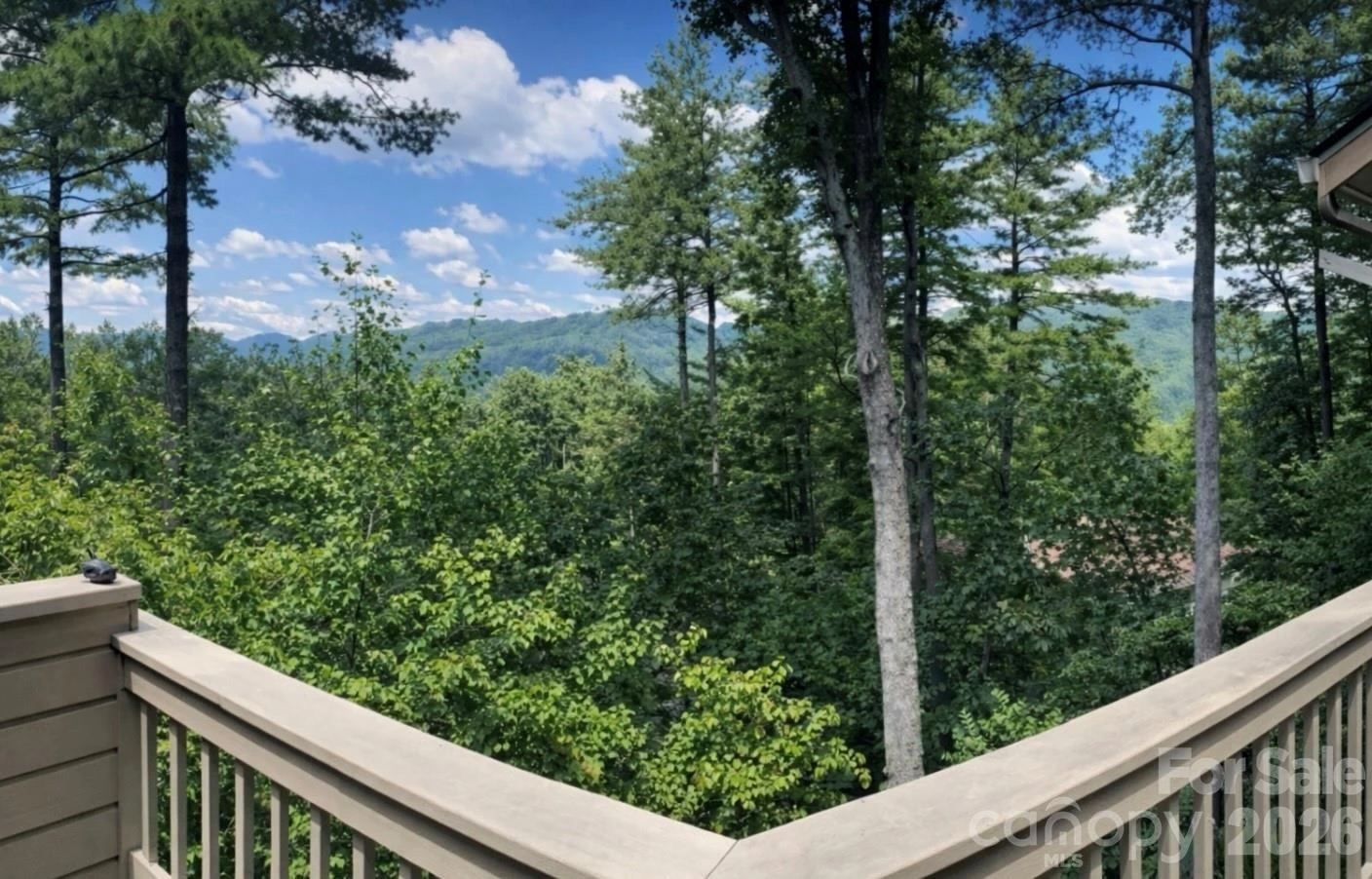 2902-A Timber Trail - Photo 2