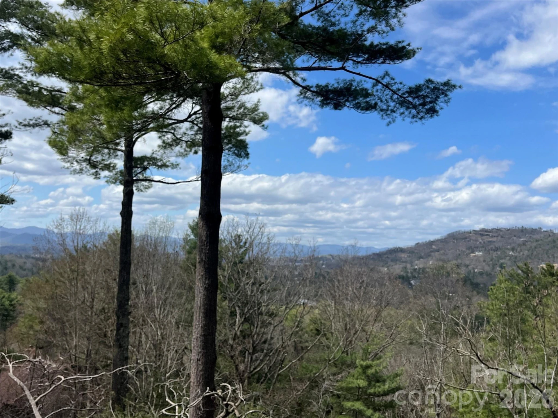 2902-A Timber Trail - Photo 3