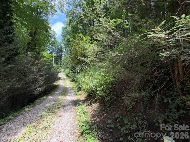 Lot 33-A Sara Ridge Road - Photo 3