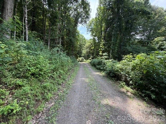 Lot 33-A Sara Ridge Road - Photo 4