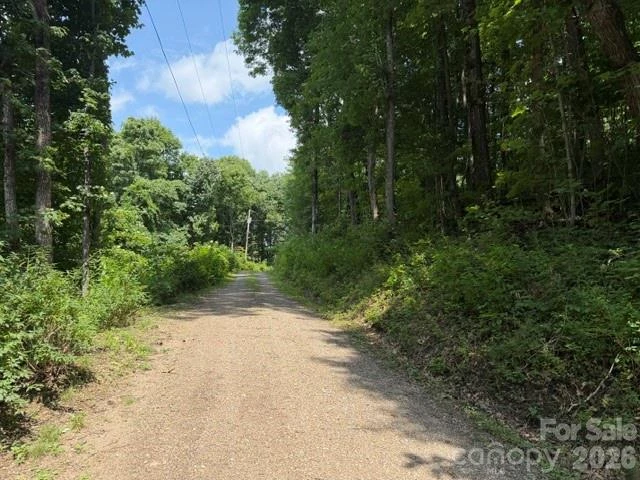 Lot 33-A Sara Ridge Road - Photo 5