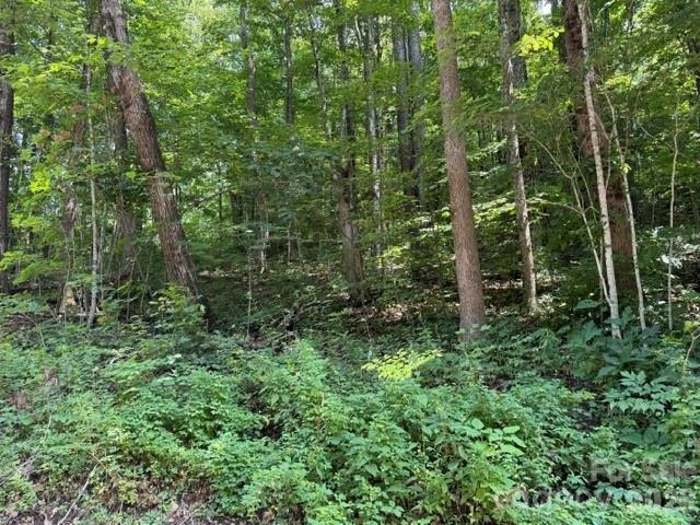 Lot 33-A Sara Ridge Road - Photo 10
