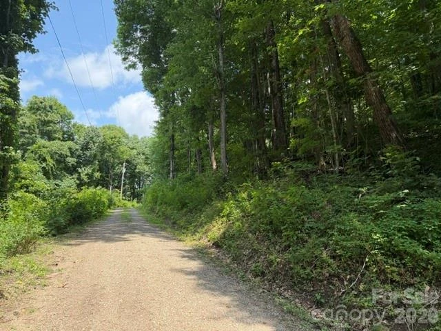 Lot 33-A Sara Ridge Road - Photo 11