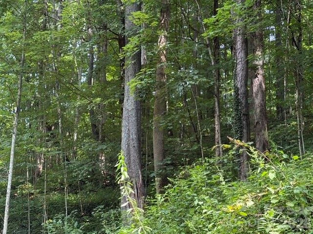 Lot 33-A Sara Ridge Road - Photo 12