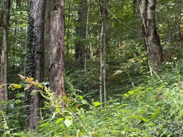 Lot 33-A Sara Ridge Road - Photo 13
