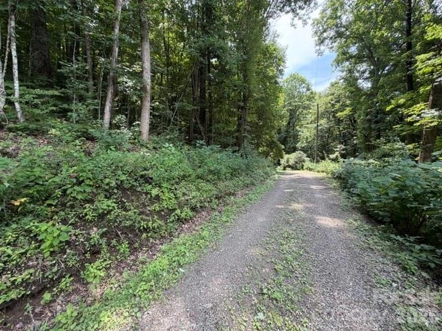 Lot 33-A Sara Ridge Road - Photo 14
