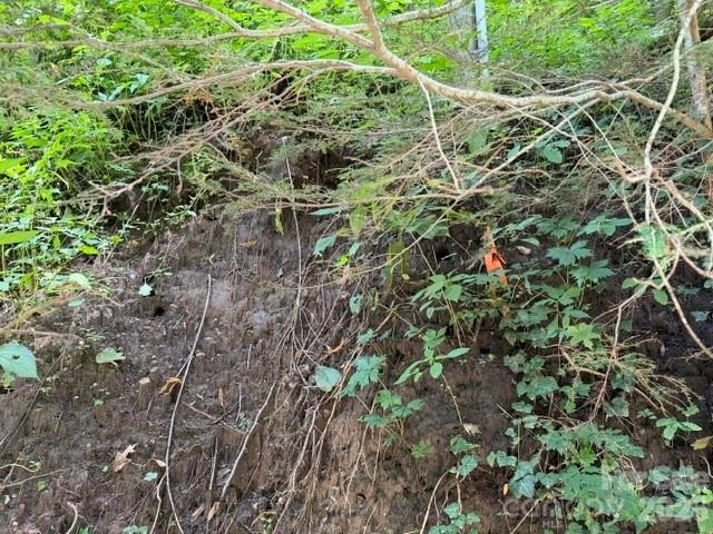 Lot 33-A Sara Ridge Road - Photo 15