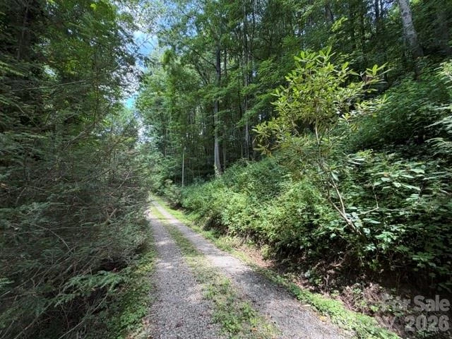Lot 33-A Sara Ridge Road - Photo 16