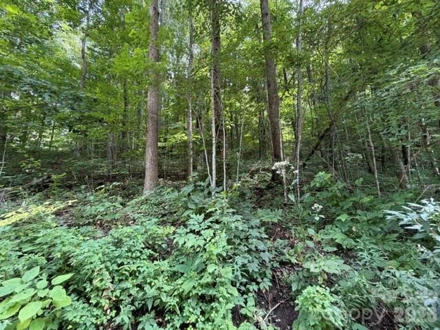 Lot 33-A Sara Ridge Road - Photo 17