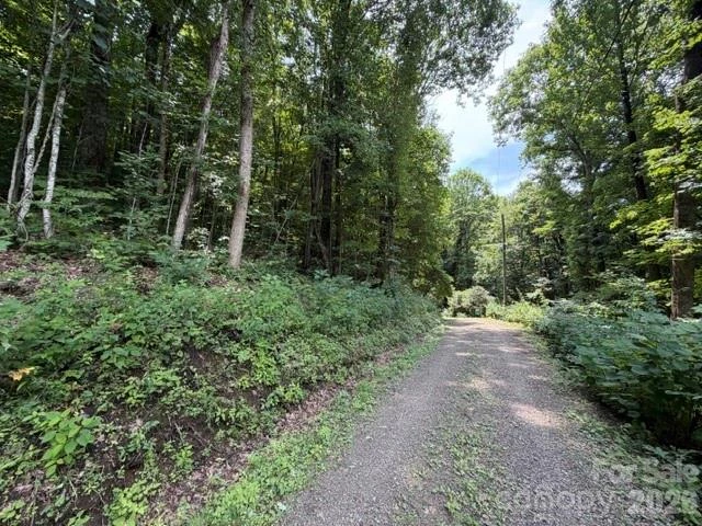 Lot 33-A Sara Ridge Road - Photo 19