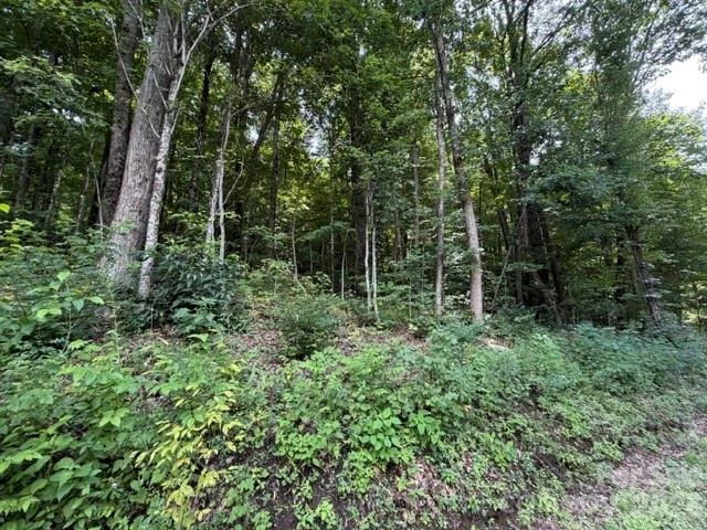 Lot 33-A Sara Ridge Road - Photo 20