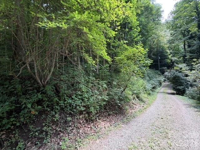 Lot 33-A Sara Ridge Road - Photo 21