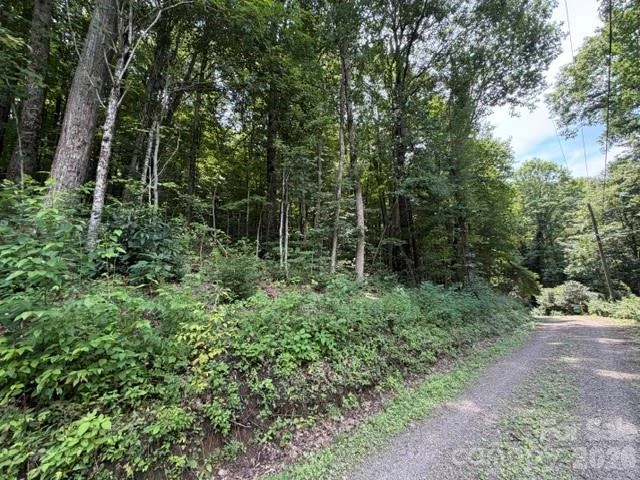 Lot 33-A Sara Ridge Road - Photo 22