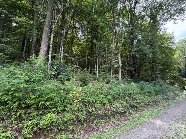 Lot 33-A Sara Ridge Road - Photo 24