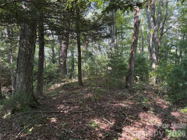 00 Early Frost Place, Waynesville, NC, 28785