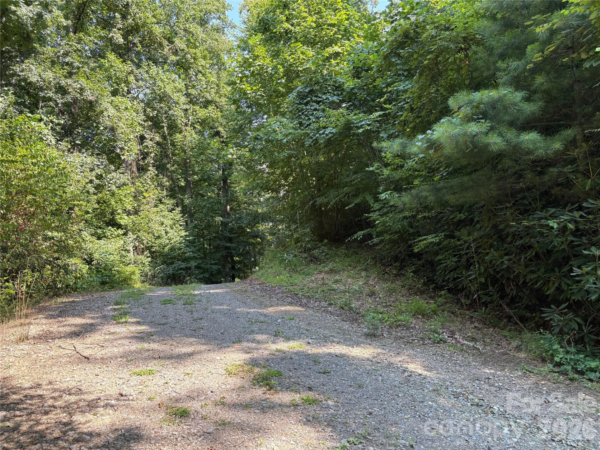 00 Early Frost Place #98 - Photo 6