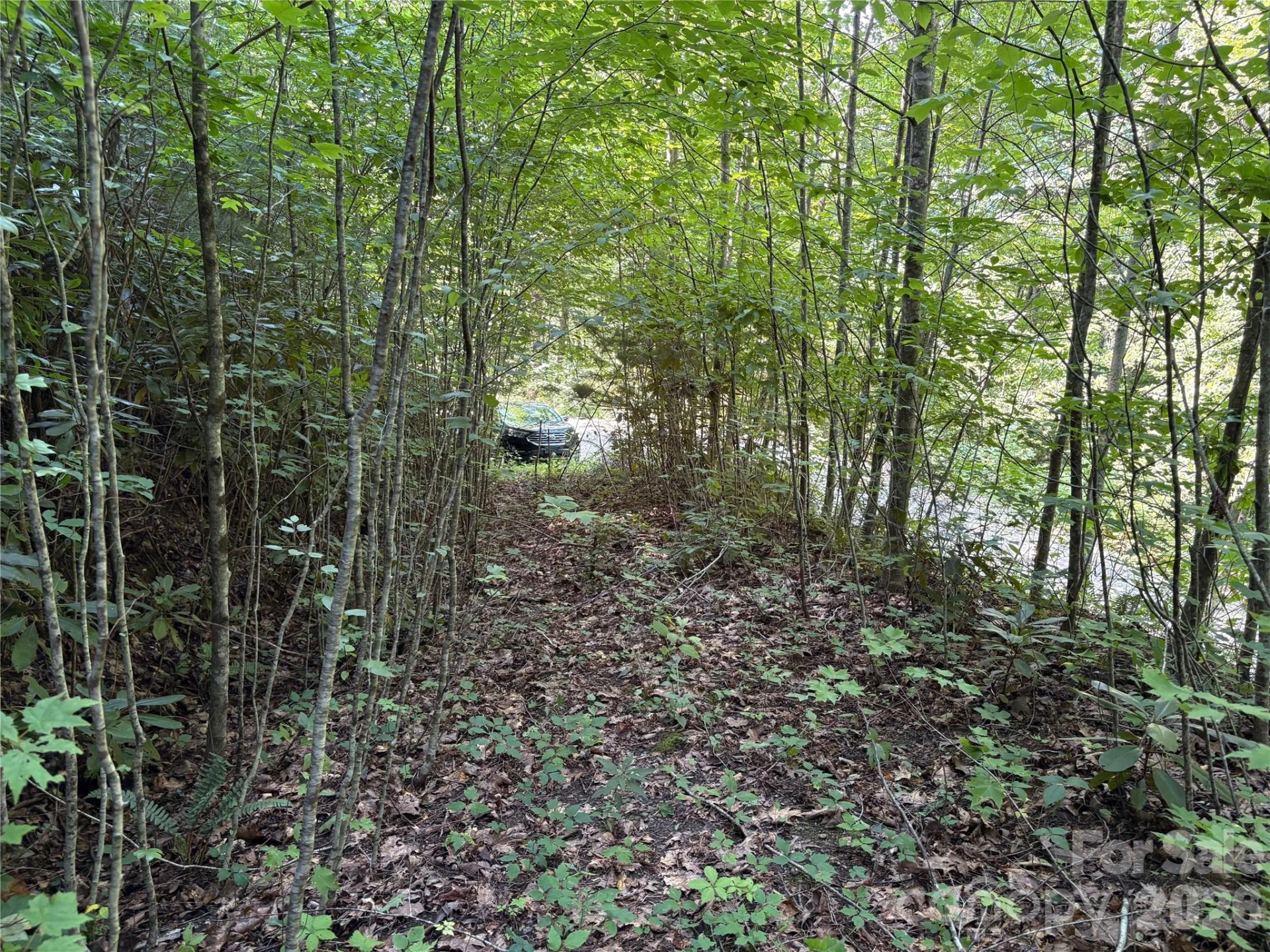 00 Early Frost Place #98 - Photo 11