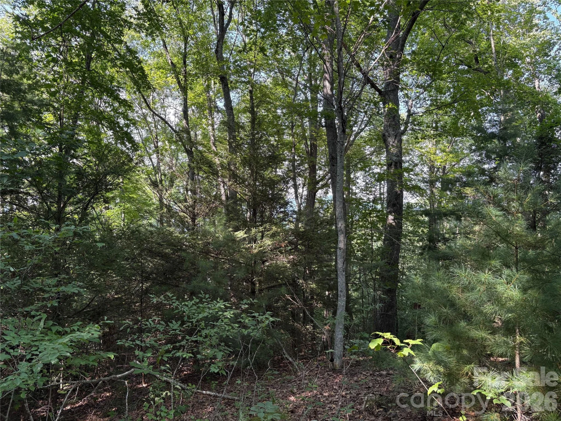 00 Early Frost Place #98 - Photo 18