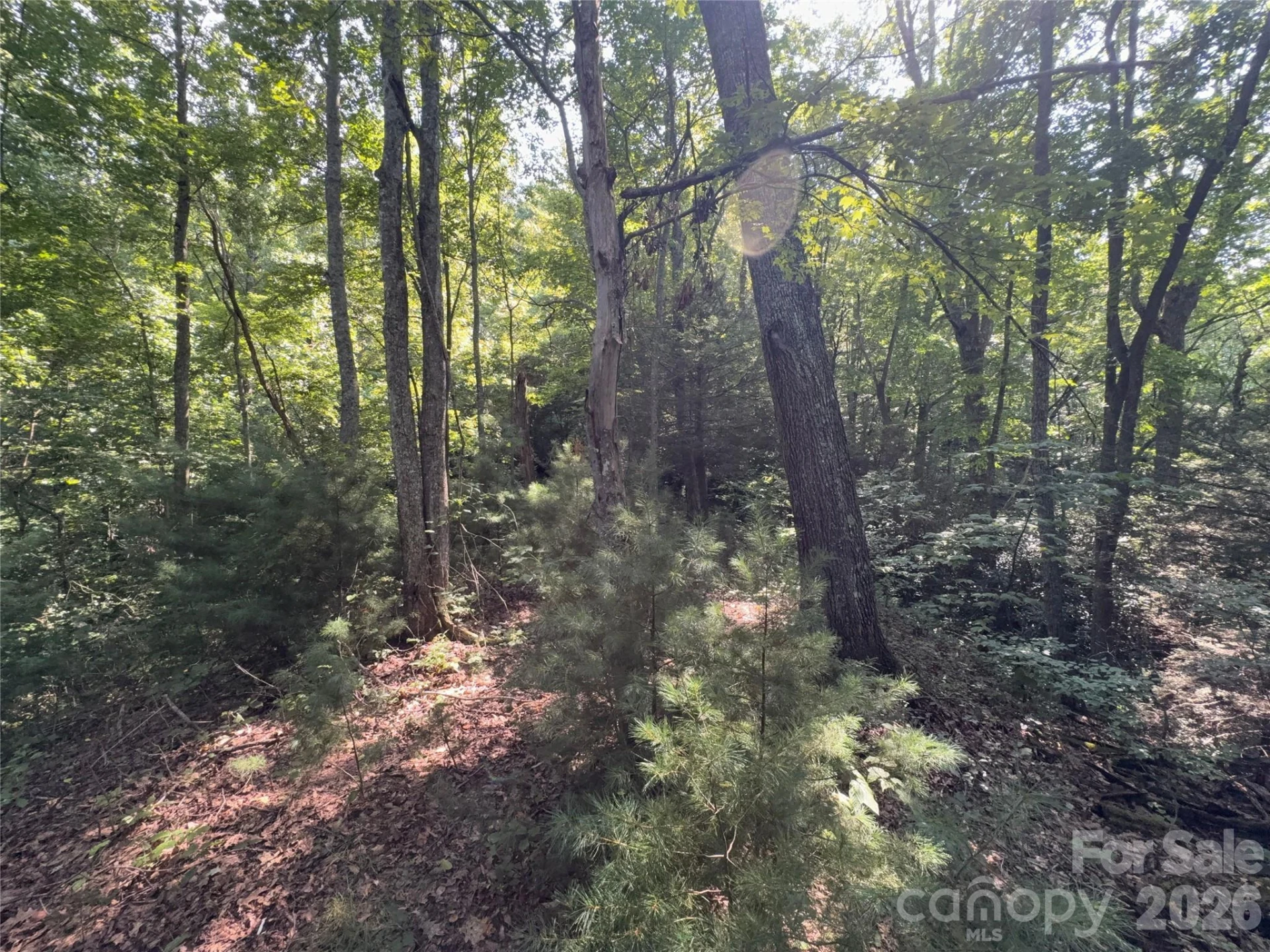 00 Early Frost Place #98 - Photo 21