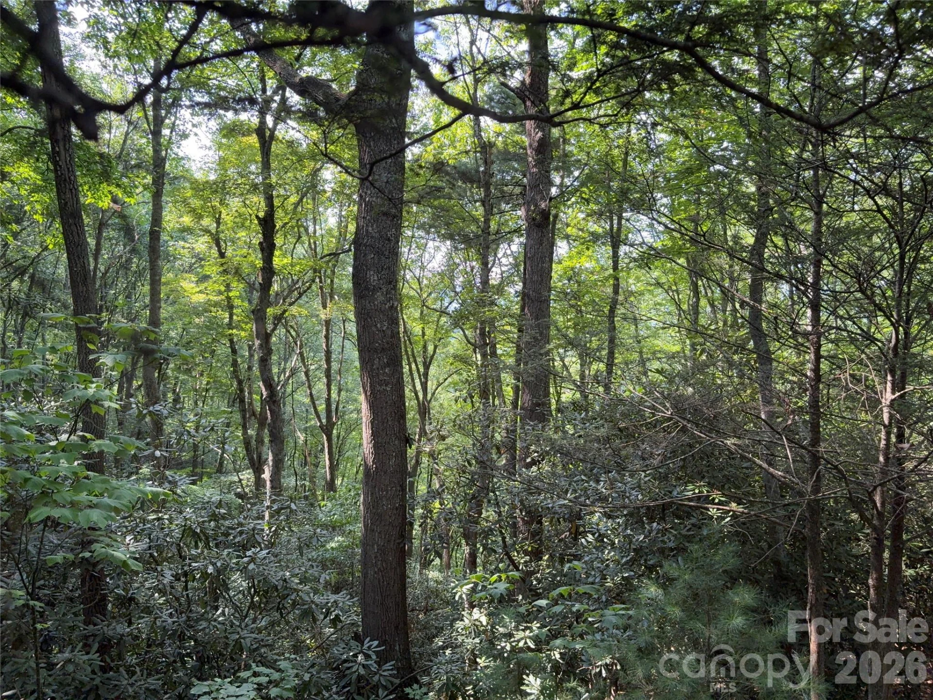 00 Early Frost Place #98 - Photo 26