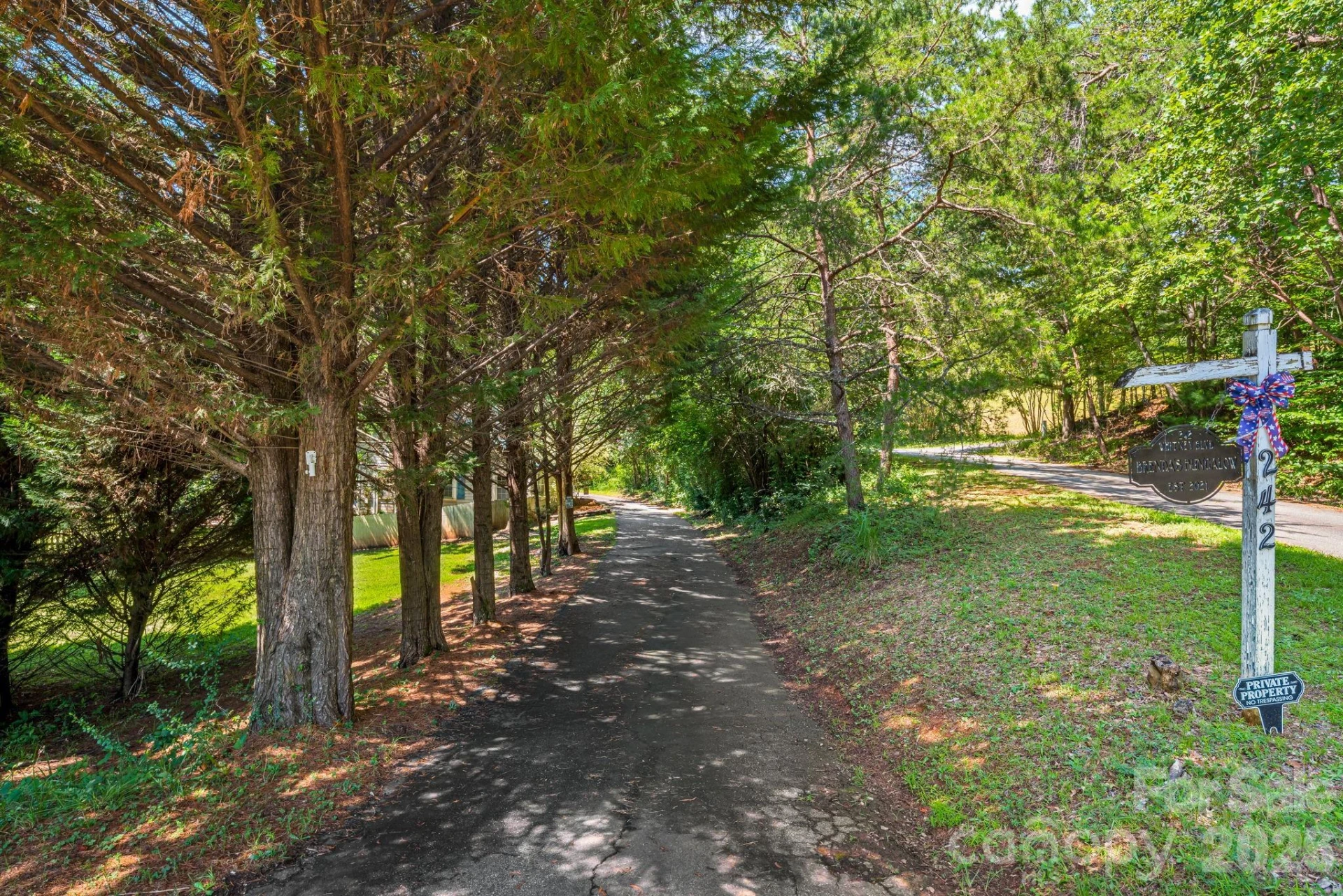 242 Whitney Boulevard - Photo 17