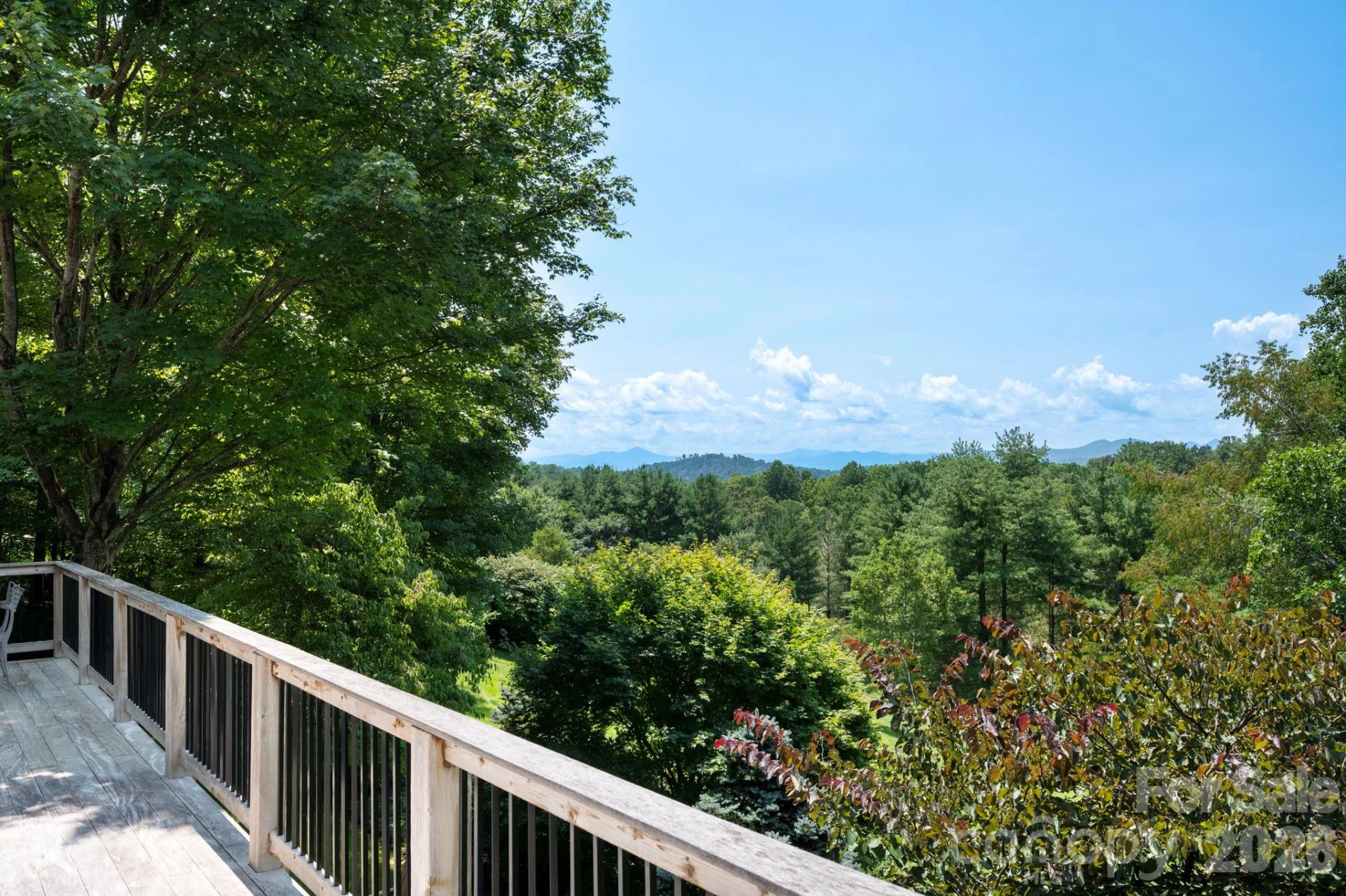 10 Blackberry Lane - Photo 2