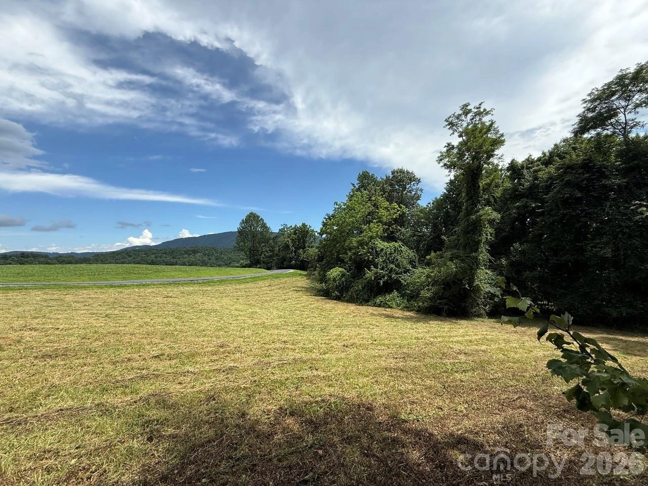 94 Ebenezer Trail #3 - Photo 3