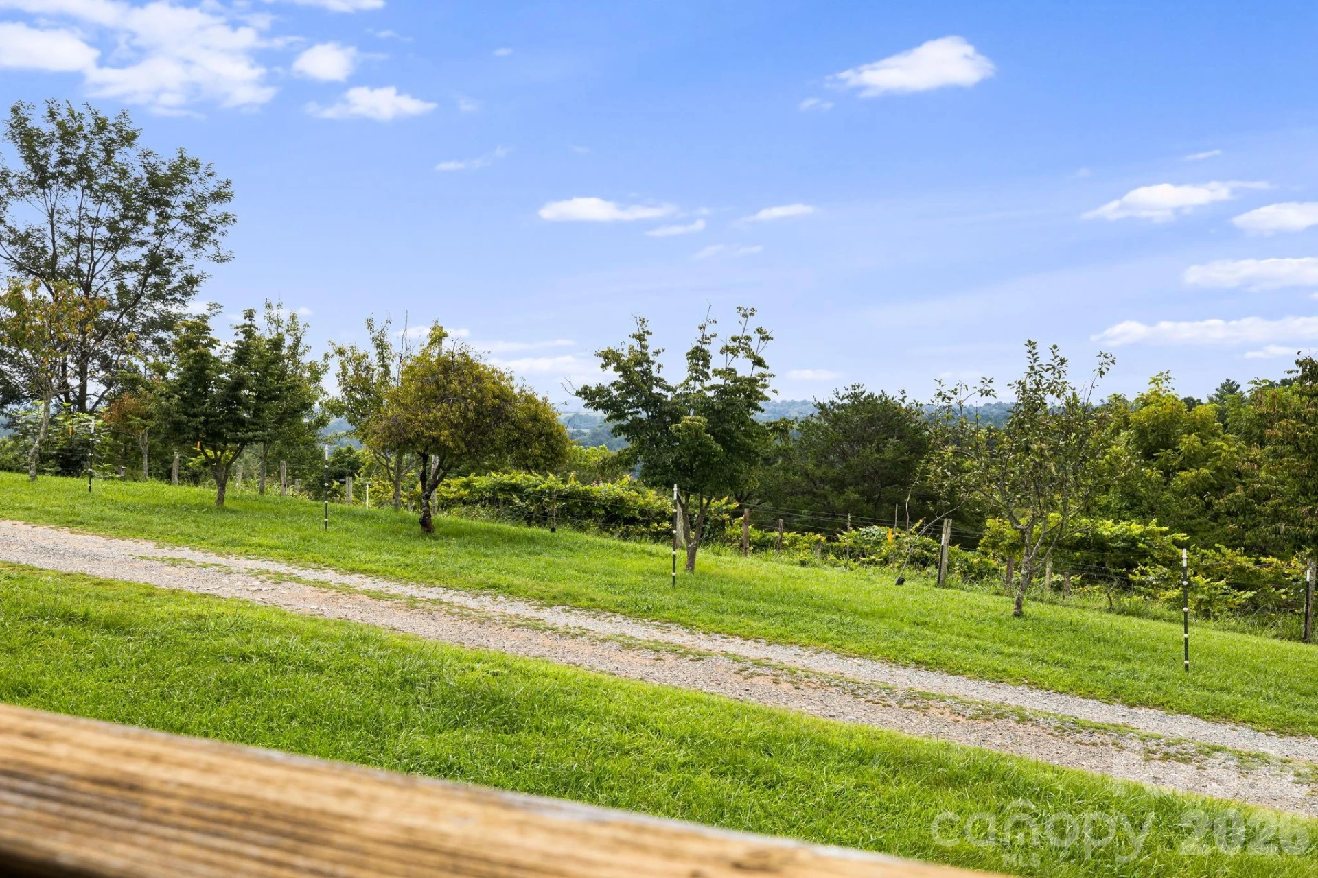 194 Cabin Hollow Drive - Photo 23