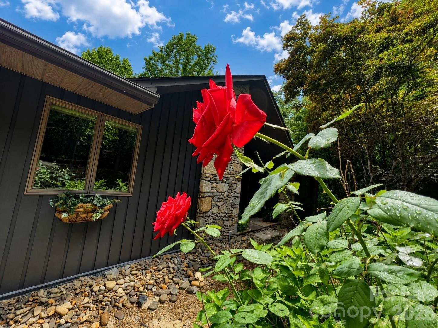 1105 High Vista Drive - Photo 3