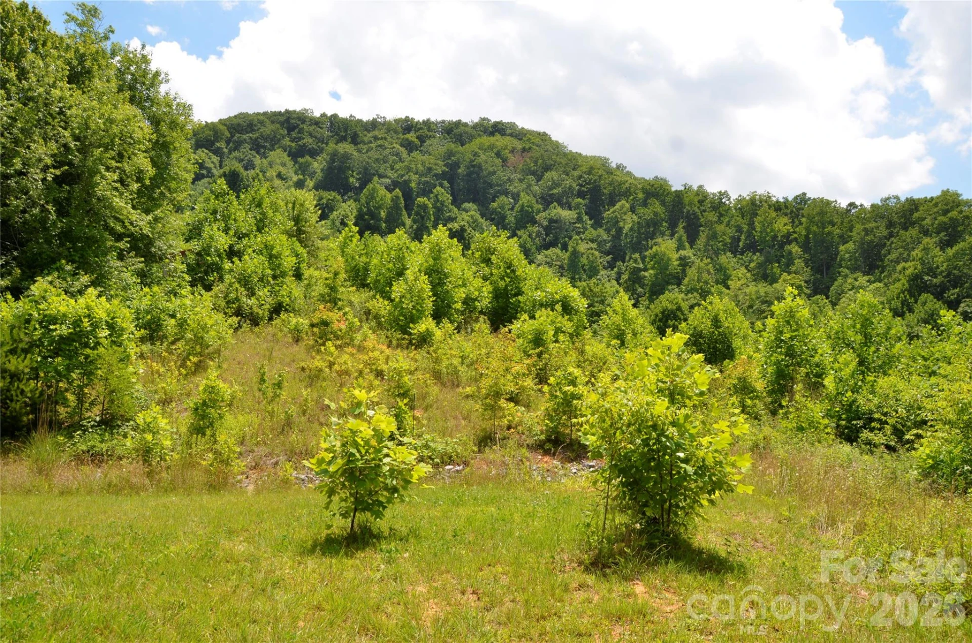 50 Gregory Hill Road - Photo 2