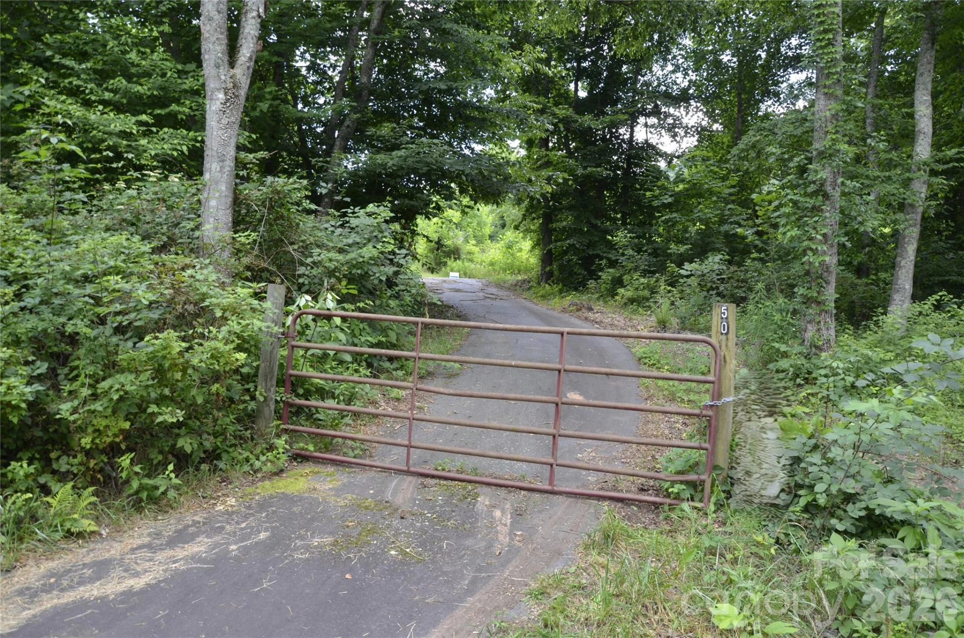 50 Gregory Hill Road - Photo 3
