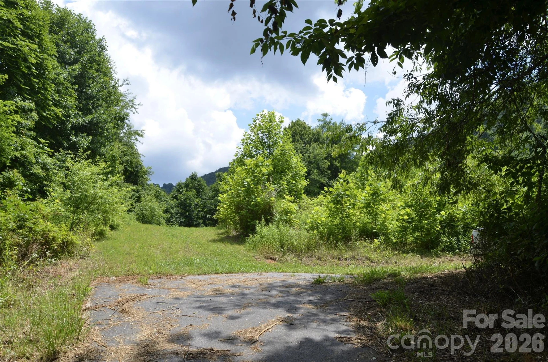 50 Gregory Hill Road - Photo 4