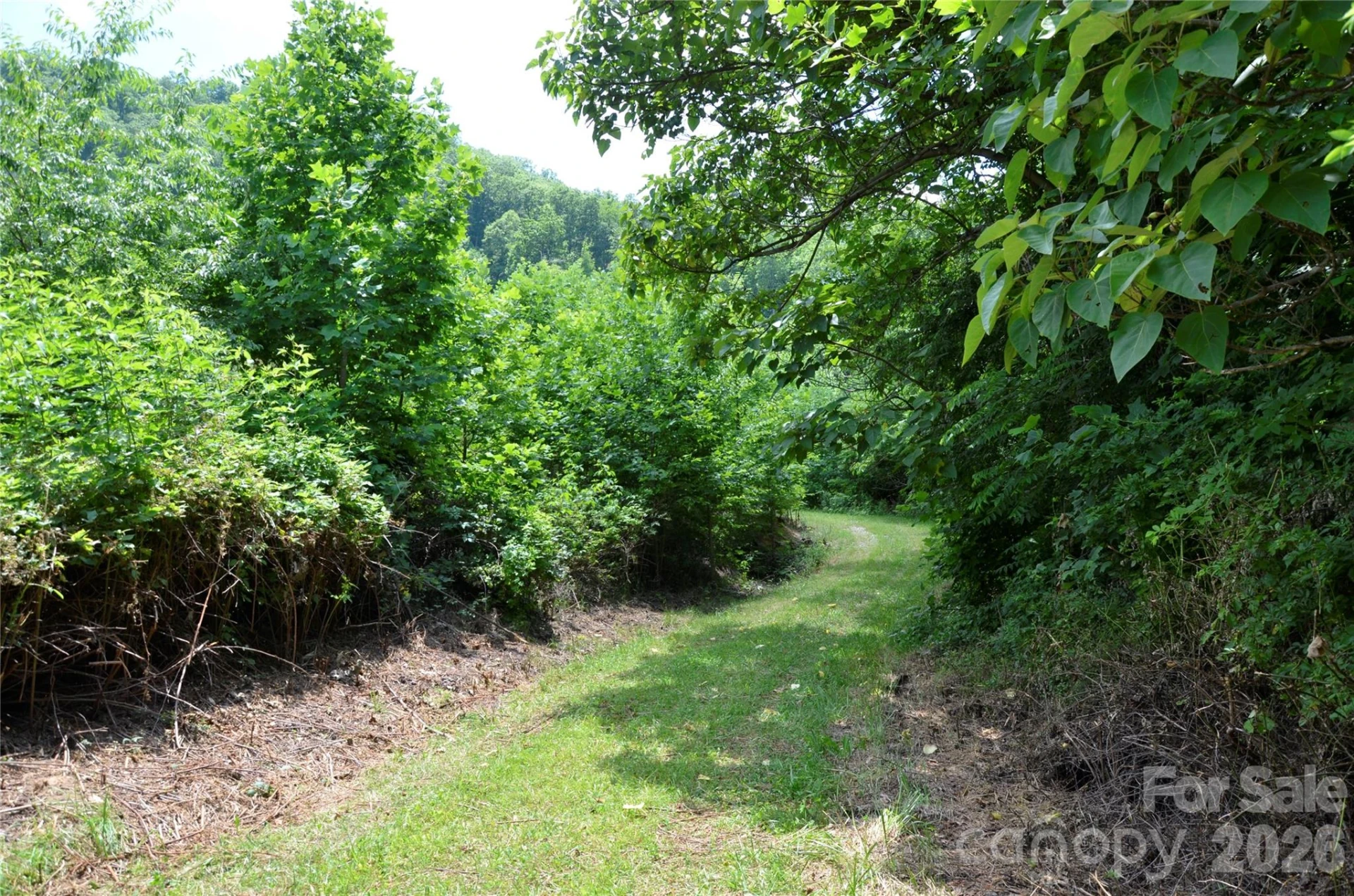 50 Gregory Hill Road - Photo 5