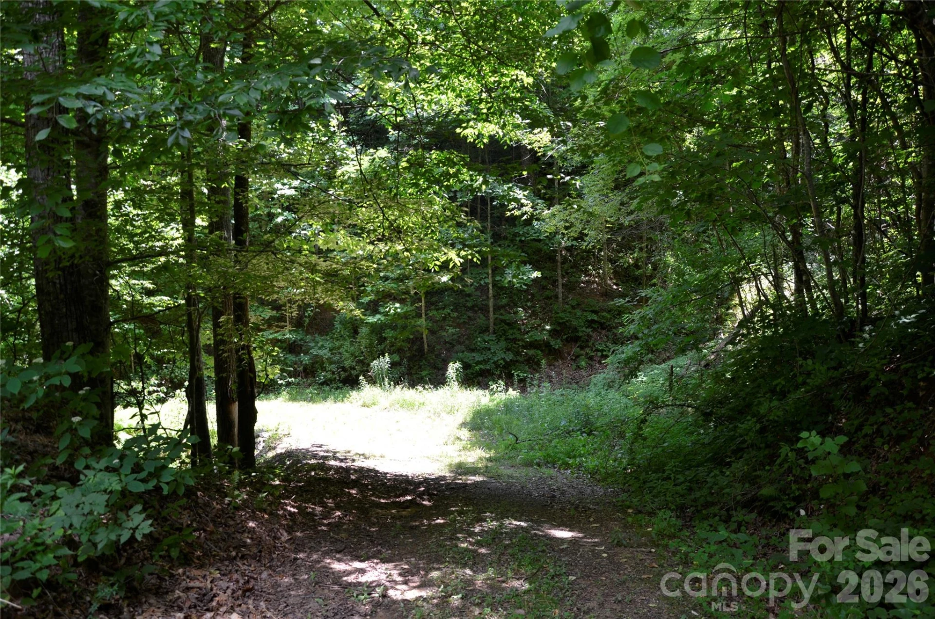 50 Gregory Hill Road - Photo 27