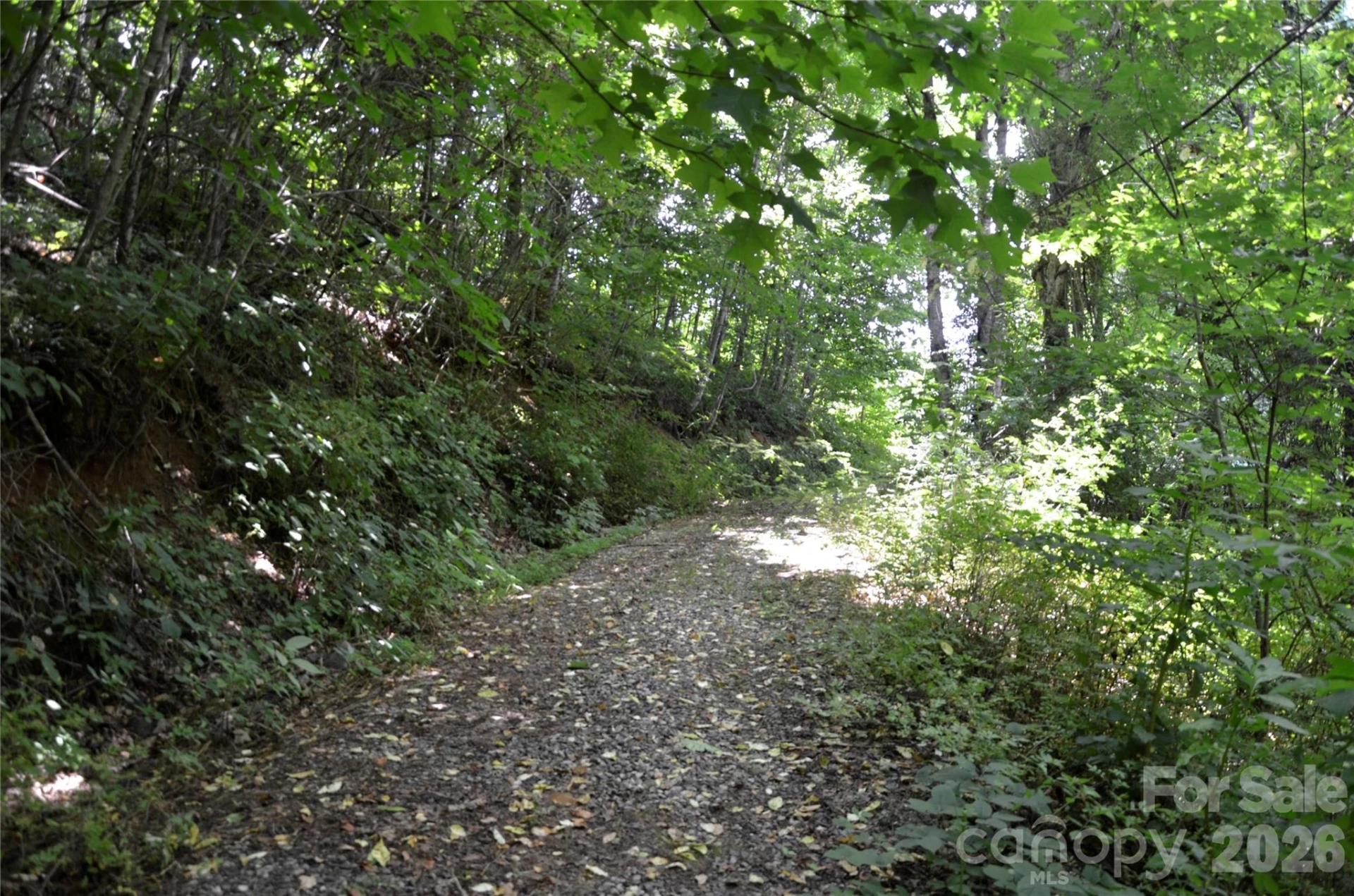 50 Gregory Hill Road - Photo 28