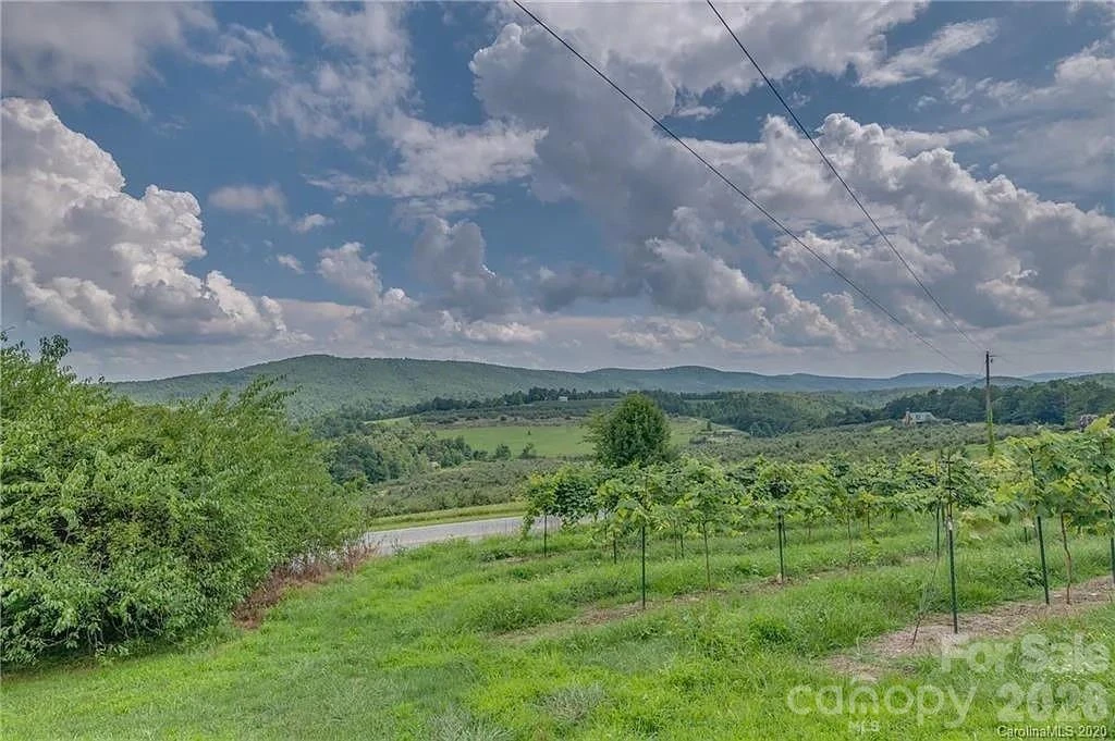 1324 Low Gap Road - Photo 12