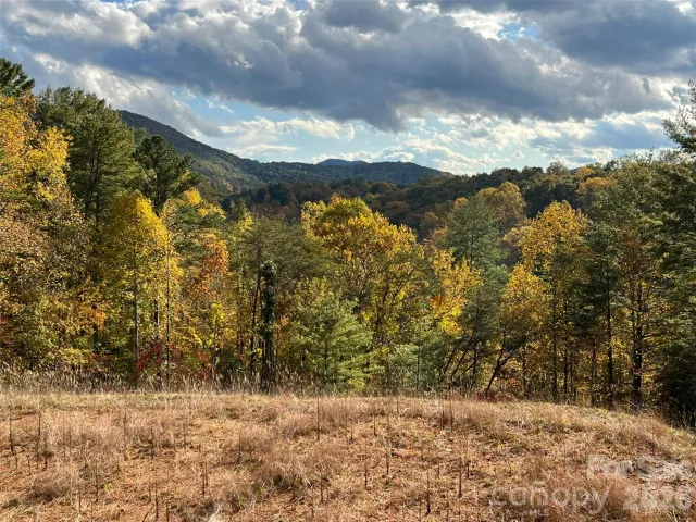165 Riverbend Forest Drive, Asheville, NC, 28805